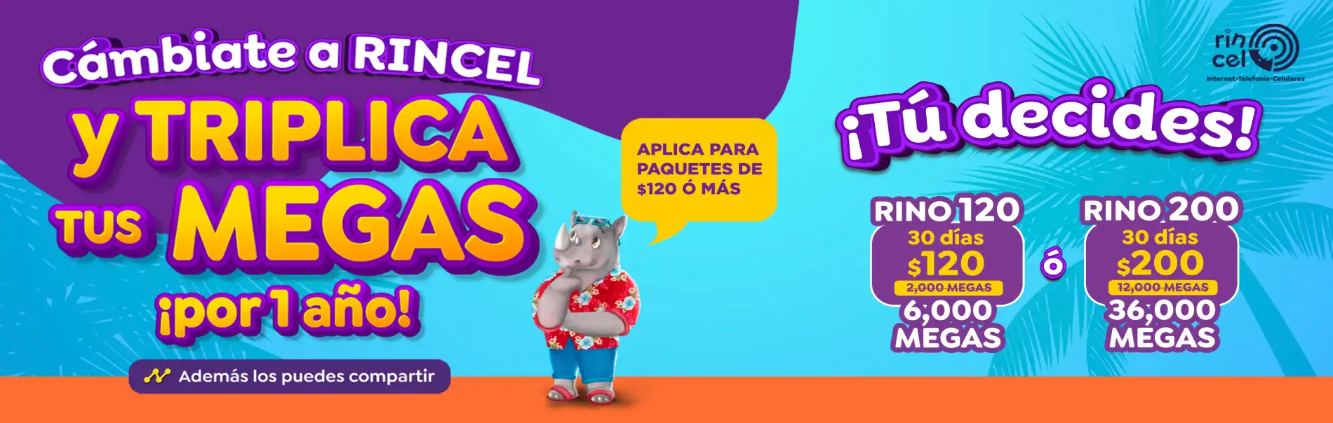 https://www.rincel.com.mx/imagenes/banners/banners_13.webp