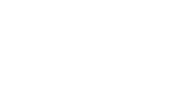 https://www.rincel.com.mx/imagenes/web/logo_blanco.png